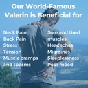 valerian-natural-relaxant-for-tension-re-6.jpg