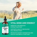 vimergy-usda-organic-b12-115-ml-and-30-m-2.jpg