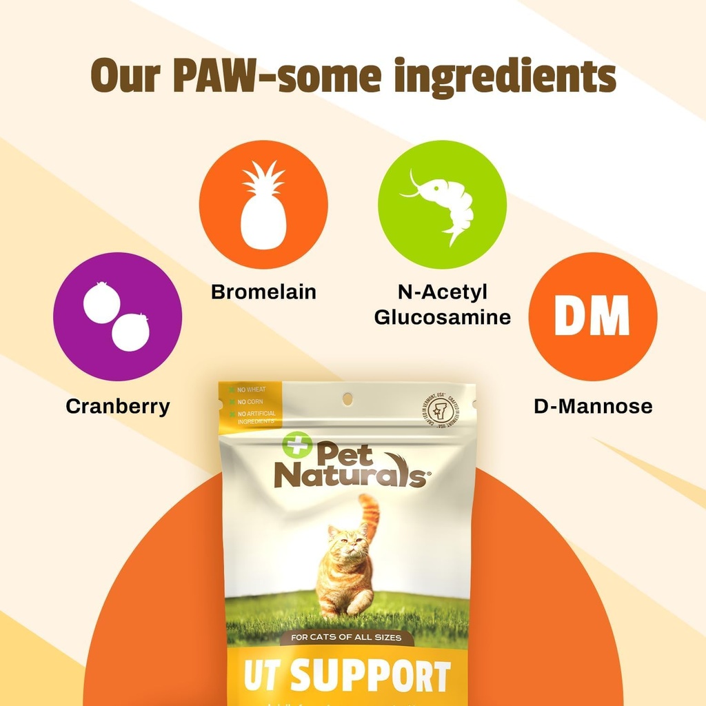 pet-naturals-ut-support-soft-chews-for-c-3.jpg