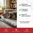 kidney-urinary-support-for-cats-d-mannos-2.jpg