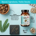 dr-wakde-s-triphala-capsules-60-veg-caps-3.jpg