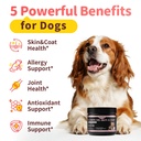 salmon-oil-for-dogs-skin-coat-13-in-1-wi-2.jpg