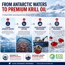 antarctic-krill-oil-with-k-real-1000mg-4-5.jpg