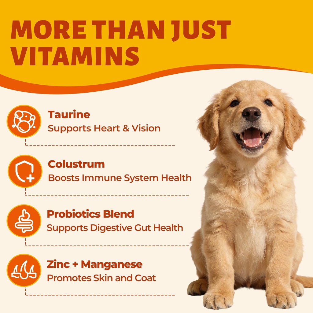 22-in-1-vitamins-powder-for-dogs-cats-ch-4.jpg