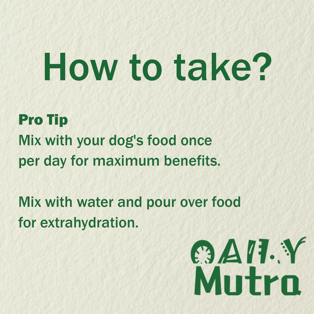 dog-multivitamin-powder-45-in-1-for-join-5.jpg
