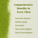dog-multivitamin-powder-45-in-1-for-join-4.jpg