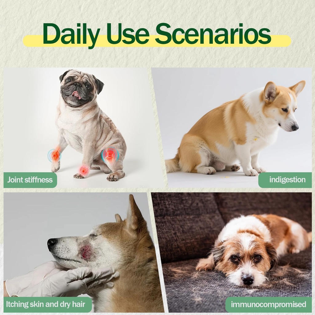 dog-multivitamin-powder-45-in-1-for-join-6.jpg