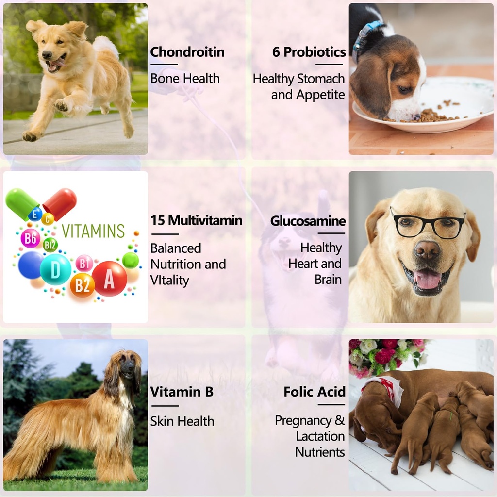 15-in-1-dog-multivitamin-drops-liquid-mu-6.jpg