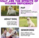 15-in-1-dog-multivitamin-drops-liquid-mu-4.jpg