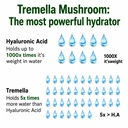 natural-hyaluronic-acid-supplement-5x-st-6.jpg