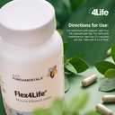 4life-flex4life-mobility-support-with-tu-5.jpg