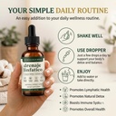 mayaverra-drenaje-linf-tico-natural-herb-4.jpg