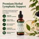 mayaverra-drenaje-linf-tico-natural-herb-2.jpg