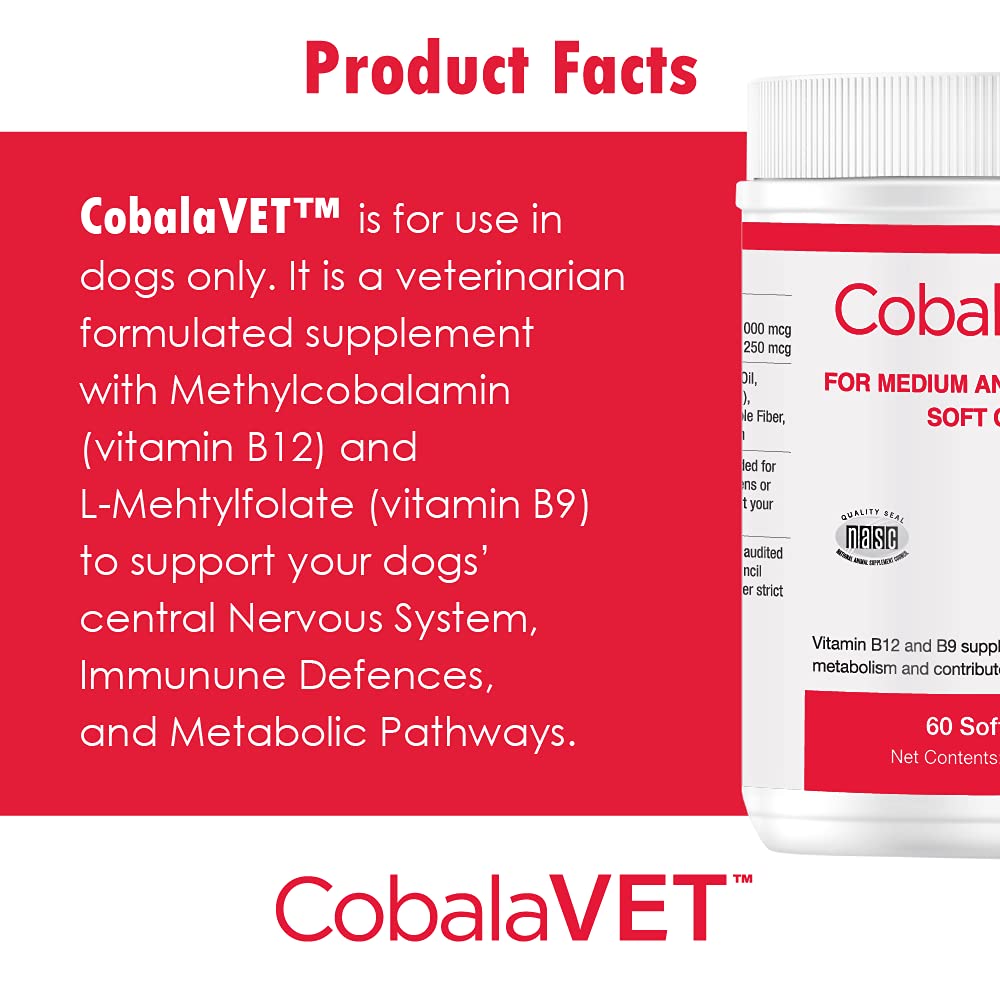 cobalavet-vitamin-b12-b9-for-small-dogs--6.jpg