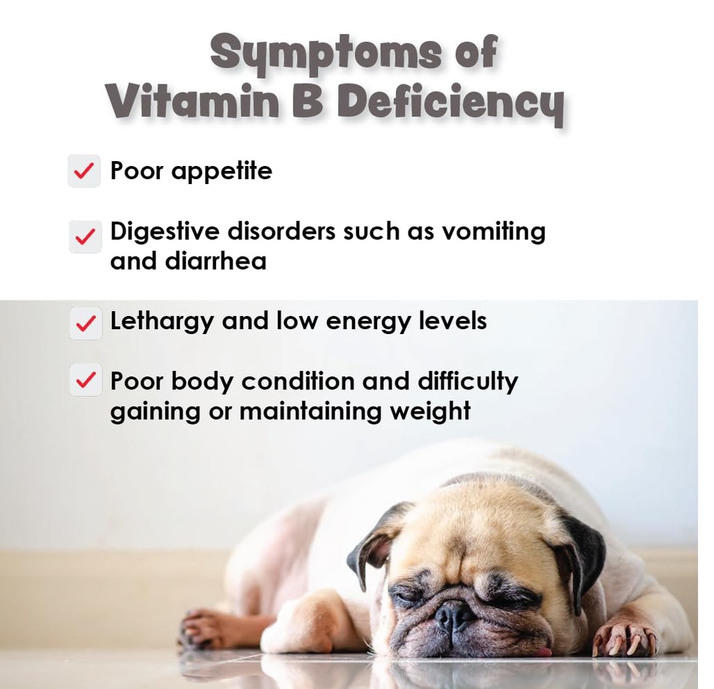 vitamin-b12-b9-for-small-dogs-cats-suppo-3.jpg