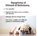 vitamin-b12-b9-for-small-dogs-cats-suppo-3.jpg