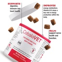 vitamin-b12-b9-for-small-dogs-cats-suppo-2.jpg