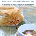 rx-vitamins-hepato-support-for-dogs-cats-4.jpg