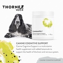 canine-cognitive-support-powder-for-dogs-3.jpg