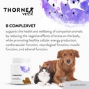 b-complexvet-and-canine-basic-nutrients--2.jpg