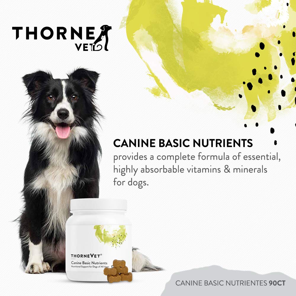 b-complexvet-and-canine-basic-nutrients--3.jpg