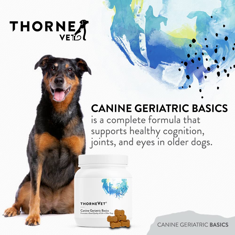 b-complexvet-and-canine-geriatric-basics-3.jpg