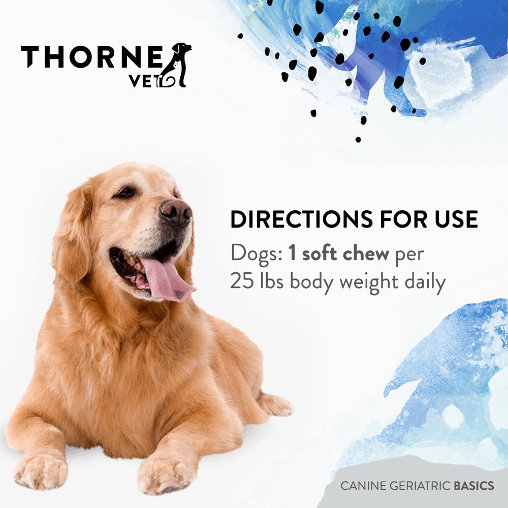 b-complexvet-and-canine-geriatric-basics-5.jpg