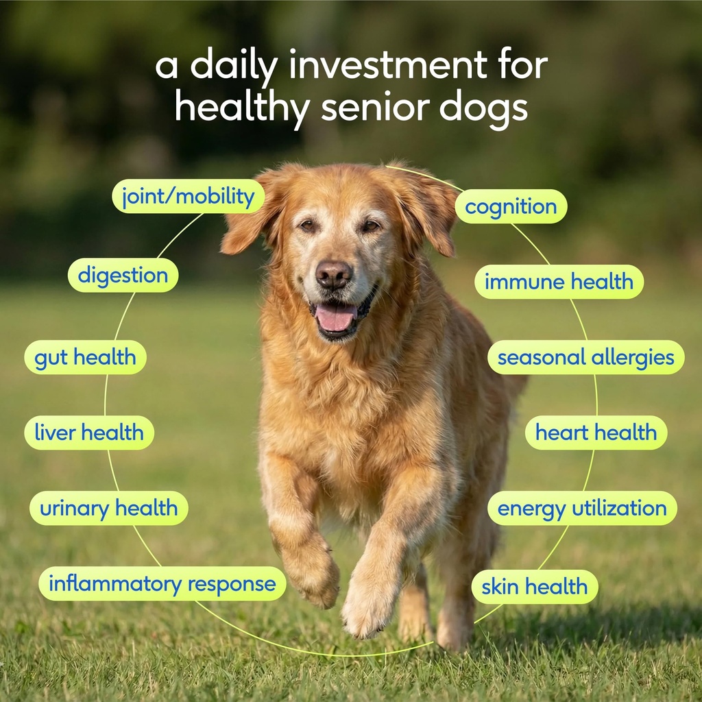 native-pet-daily-wellness-bundle-dog-vit-3.jpg