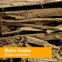 herb-pharm-muira-puama-extract-for-repro-6.jpg