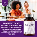 centurion-puralor-ci-brain-supplement-fo-6.jpg