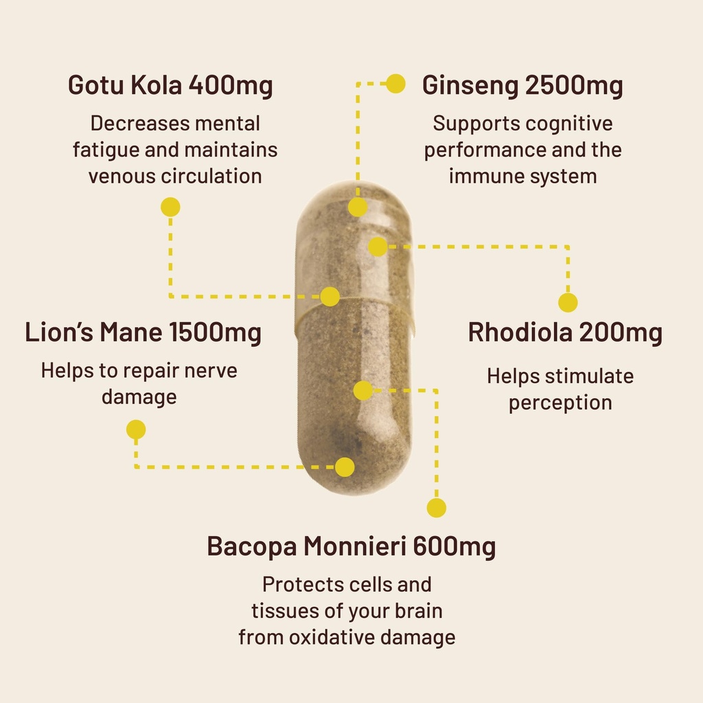 vegan-vitality-brain-body-balance-bundle-3.jpg