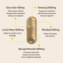 vegan-vitality-brain-body-balance-bundle-3.jpg