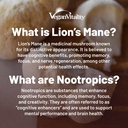 vegan-vitality-brain-body-balance-bundle-2.jpg