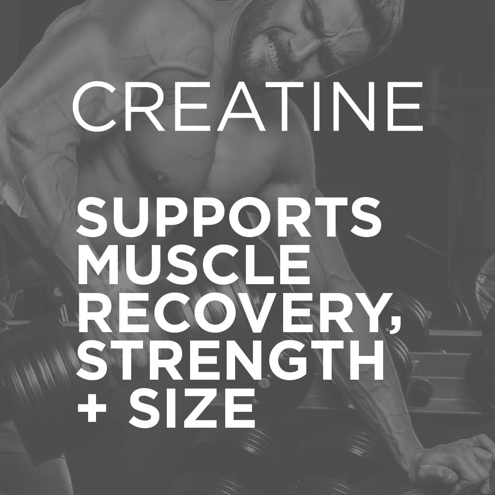 purbolics-creapure-creatine-monohydrate--3.jpg