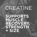 purbolics-creapure-creatine-monohydrate--3.jpg