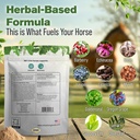 inf-x-horse-immune-booster-supplement-1--3.jpg