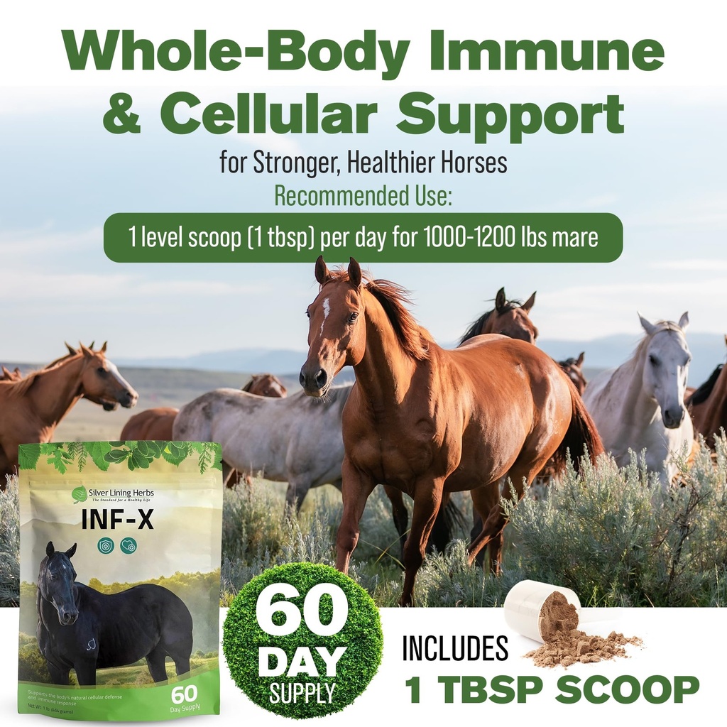 inf-x-horse-immune-booster-supplement-1--6.jpg