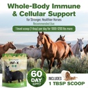 inf-x-horse-immune-booster-supplement-1--6.jpg