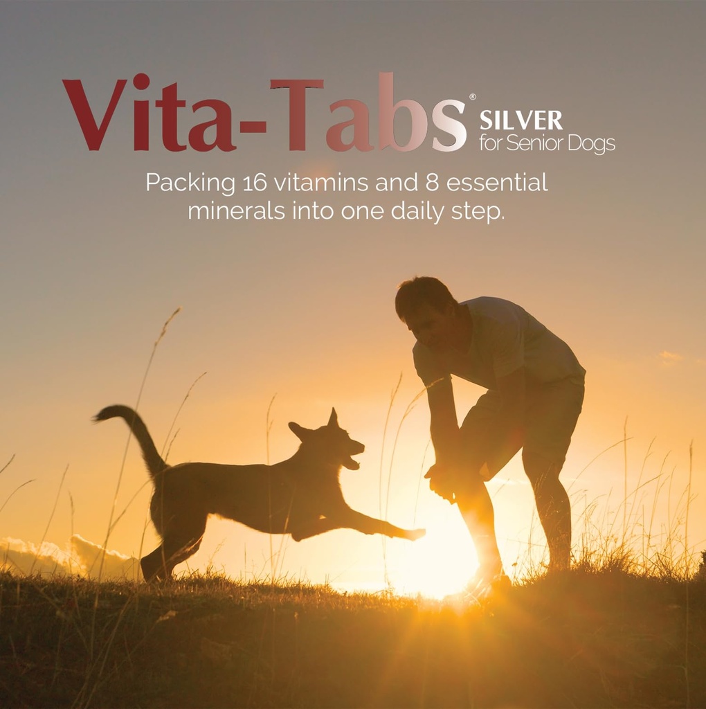 silver-vitamins-minerals-nutrients-suppo-2.jpg
