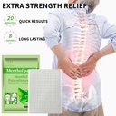 10-pcs-menthol-relief-patches-cool-back--2.jpg