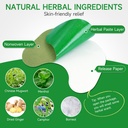 48pcs-herbal-knee-patches-wormwood-extra-2.jpg