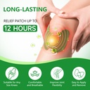 48pcs-herbal-knee-patches-wormwood-extra-3.jpg