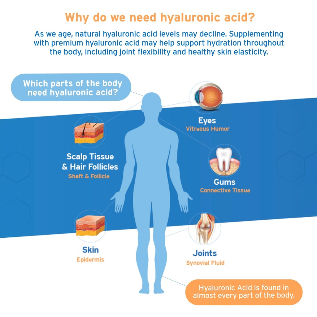hyalogic-synthovial-seven-ha-supplement--2.jpg