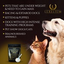 weight-gainer-supplement-for-dogs-cats-a-4.jpg