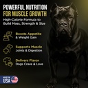 5-pounds-302-servings-of-dog-weight-gain-4.jpg