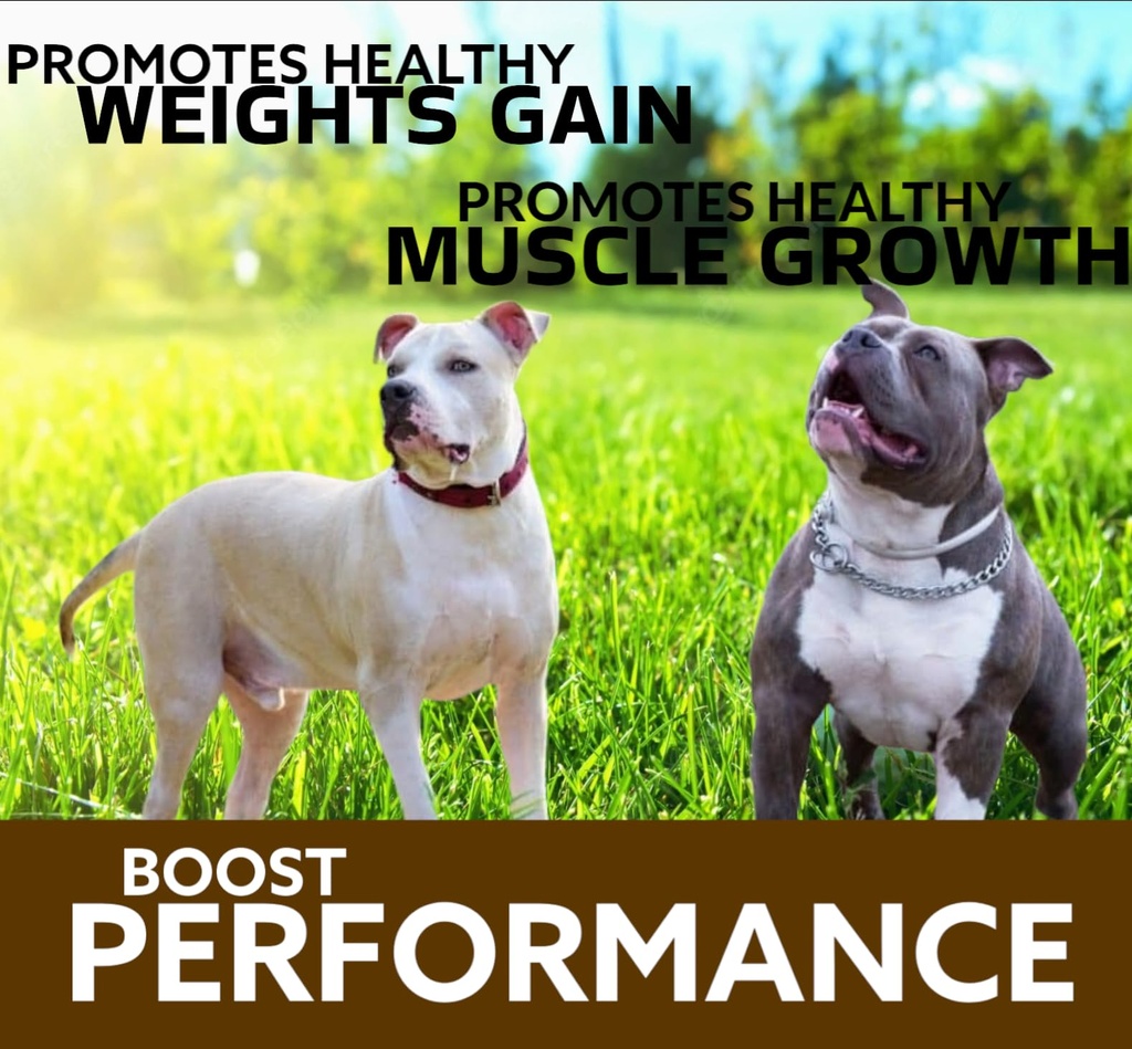 predator-muscle-builder-chewable-tablets-3.jpg