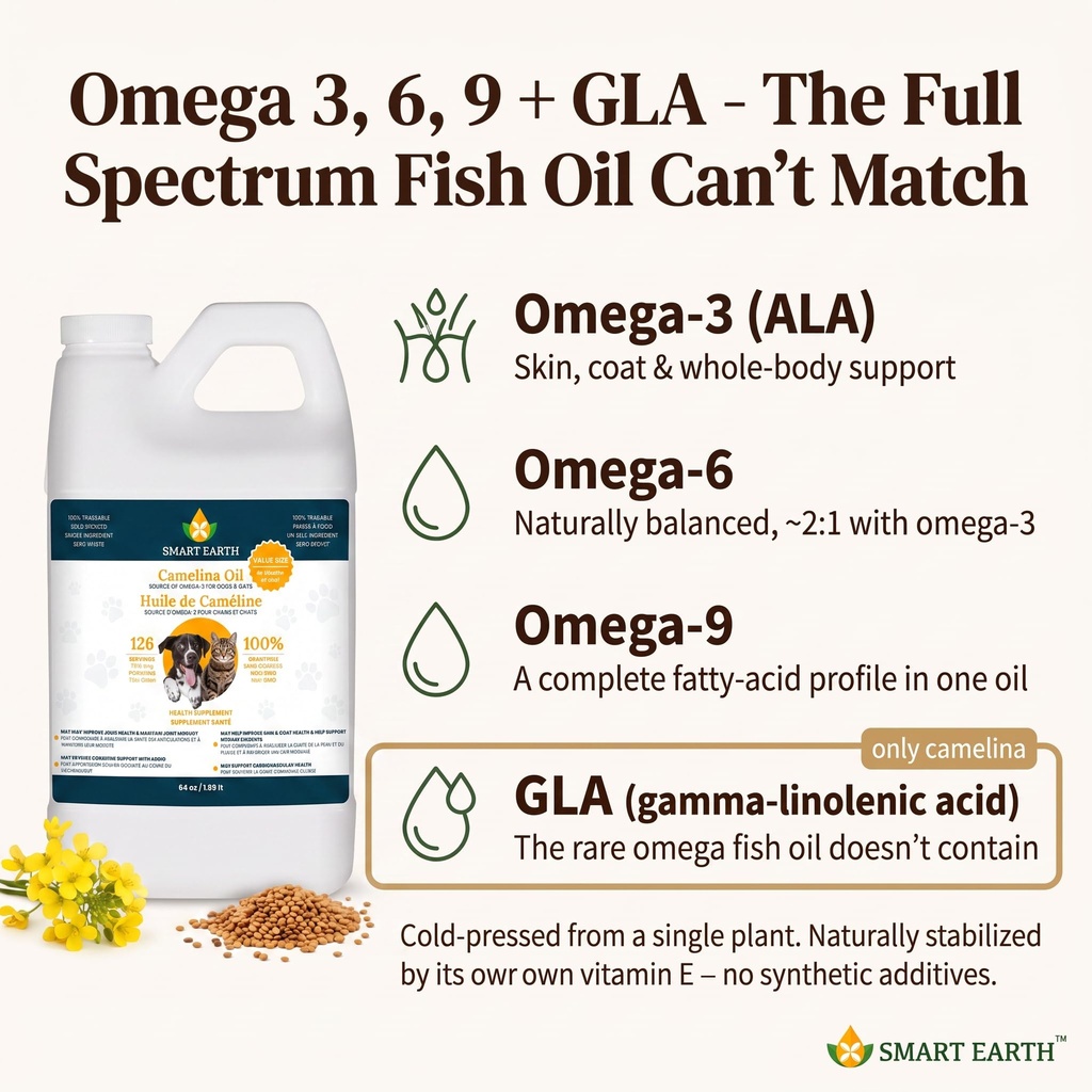 camelina-oil-for-dogs-omega-3-6-9-supple-3.jpg