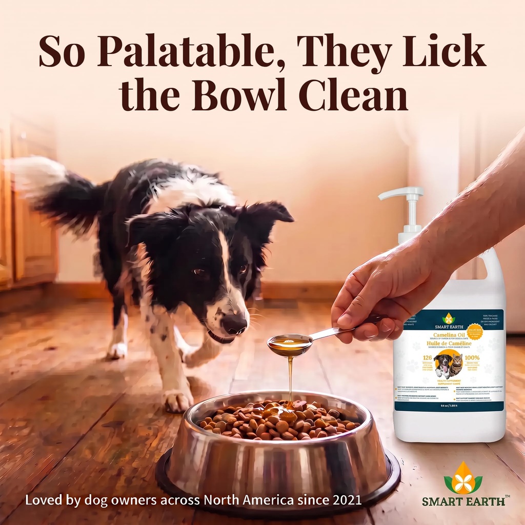 camelina-oil-for-dogs-omega-3-6-9-supple-5.jpg
