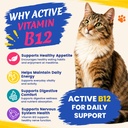 dog-cat-appetite-stimulant-vitamin-b12-m-2.jpg