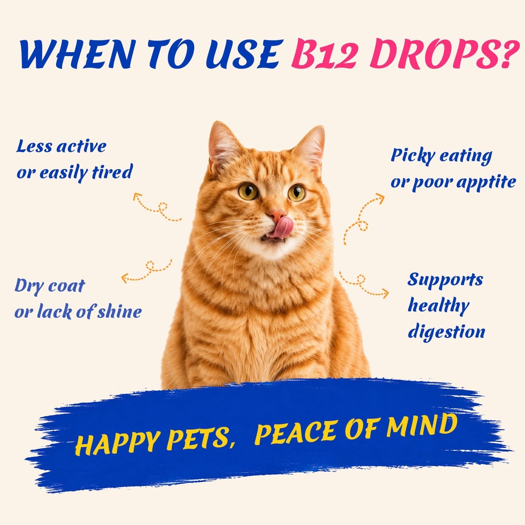 dog-cat-appetite-stimulant-vitamin-b12-m-5.jpg